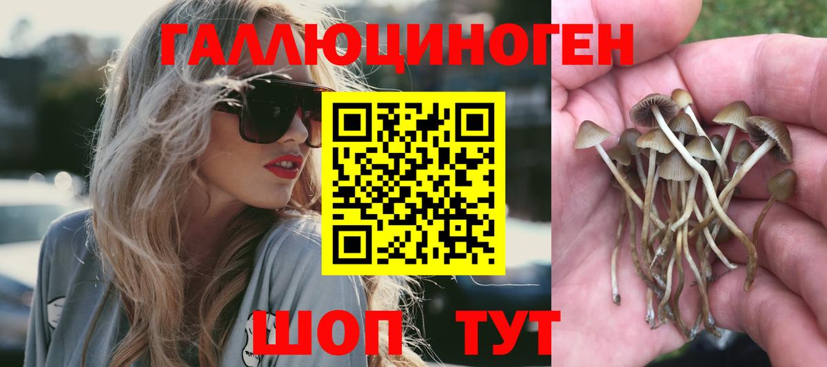 Псилоцибиновые грибы Magic Shrooms Лабытнанги
